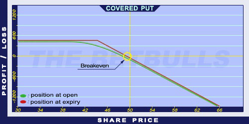 What Are Covered Puts